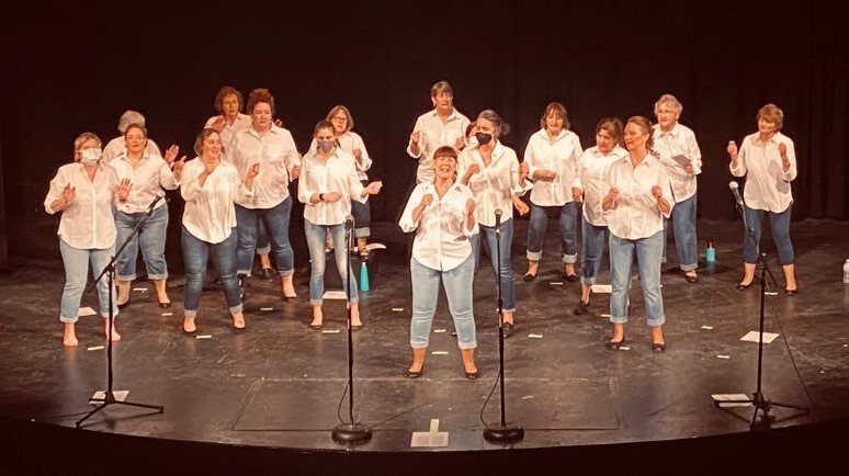 A photograph of the St. Louis Vocal Project performing on stage